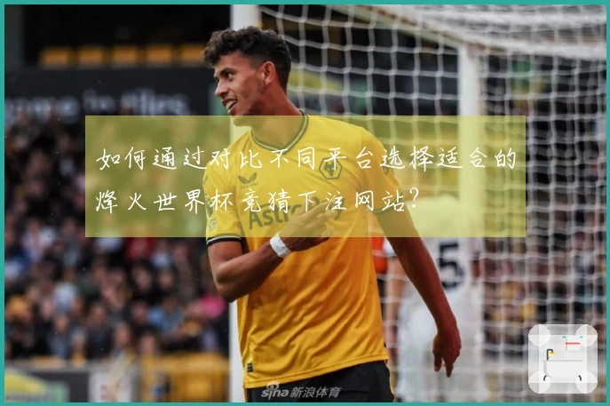 如何通过对比不同平台选择适合的烽火世界杯竞猜下注网站？