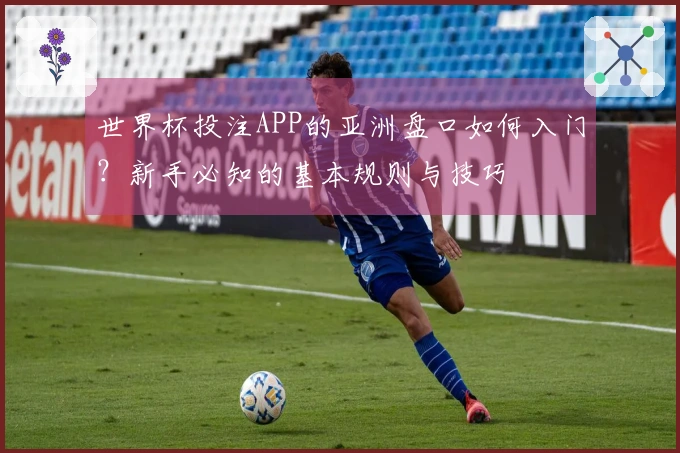 世界杯投注APP的亚洲盘口如何入门？新手必知的基本规则与技巧