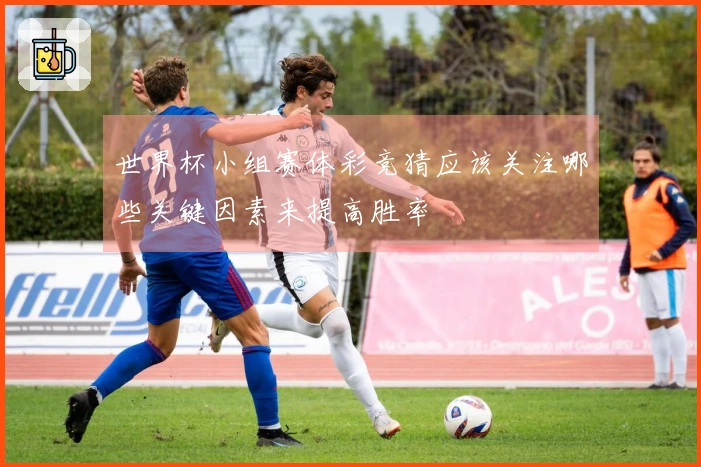 世界杯小组赛体彩竞猜应该关注哪些关键因素来提高胜率