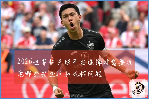2026世界杯买球平台选择时需要注意哪些安全性和流程问题