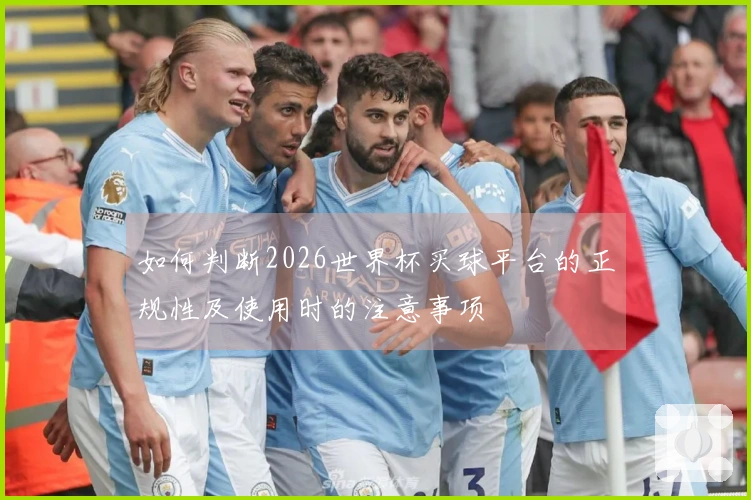如何判断2026世界杯买球平台的正规性及使用时的注意事项