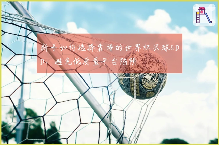 新手如何选择靠谱的世界杯买球app，避免低质量平台陷阱