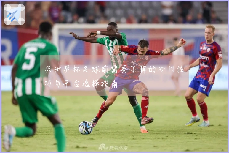 买世界杯足球前需要了解的冷门技巧与平台选择指南