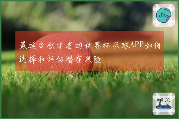 最适合初学者的世界杯买球APP如何选择和评估潜在风险