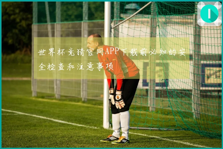 世界杯竞猜官网APP下载前必知的安全检查和注意事项