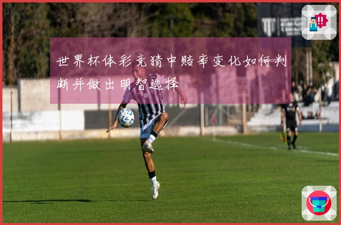 世界杯体彩竞猜中赔率变化如何判断并做出明智选择