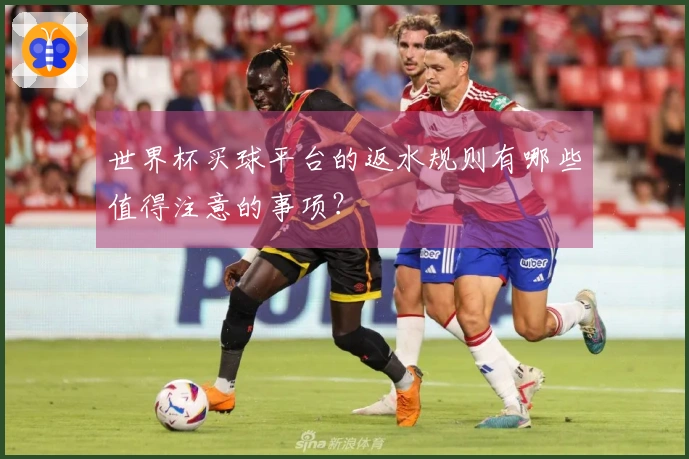 世界杯买球平台的返水规则有哪些值得注意的事项？