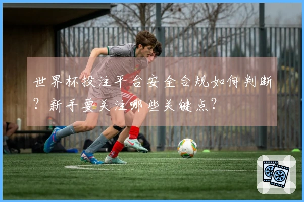 世界杯投注平台安全合规如何判断？新手要关注哪些关键点？