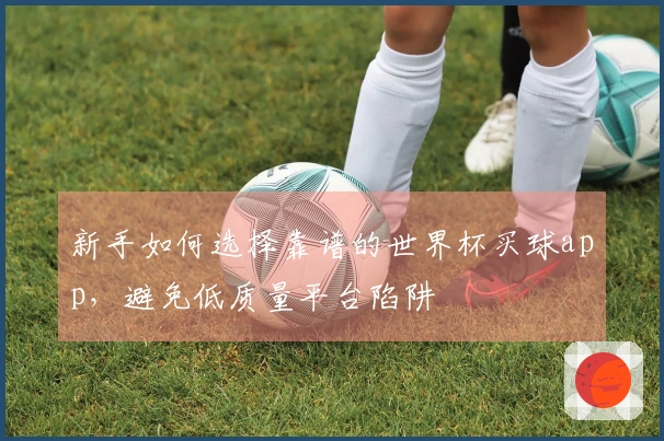 新手如何选择靠谱的世界杯买球app，避免低质量平台陷阱