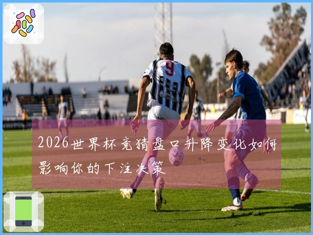 2026世界杯竞猜盘口升降变化如何影响你的下注决策