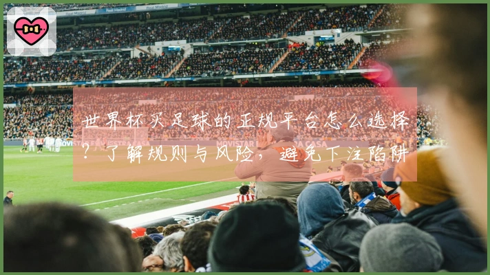 世界杯买足球的正规平台怎么选择？了解规则与风险，避免下注陷阱