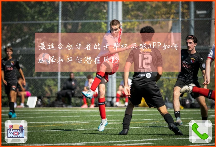 最适合初学者的世界杯买球APP如何选择和评估潜在风险